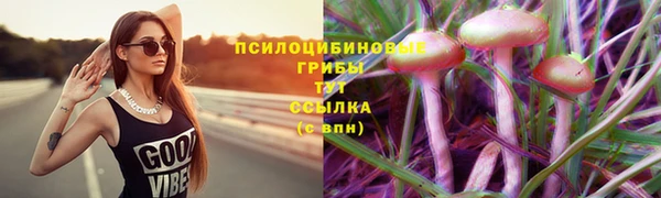 амф Пересвет