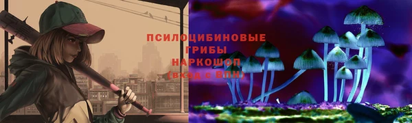 амф Пересвет