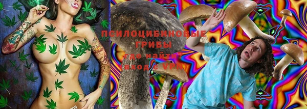 меф Алексин