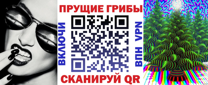 цена   blacksprut   Галлюциногенные грибы Cubensis  Зея 